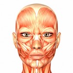 Medizinlexikon: Atemwegsinfektion
