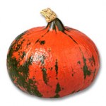 Kürbisrezepte