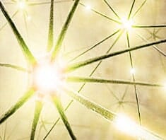 Multiple Sklerose: Steigerung der Mobilität durch konsequente Therapien möglich