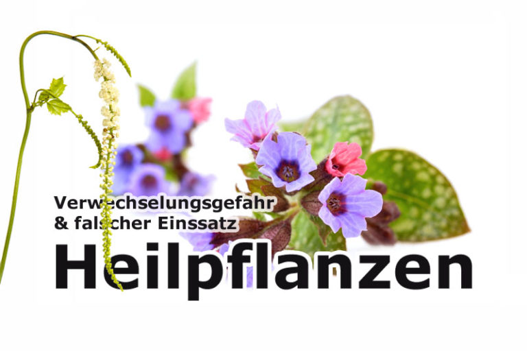 Vorsicht Im Umgang Mit Heilpflanzen Gesund Co At