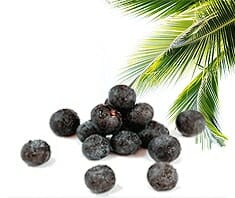 Açaí - die neue Wunderbeere?