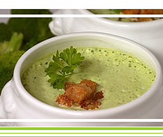 Brokkolicremesuppe mit Sellerie | Rezept
