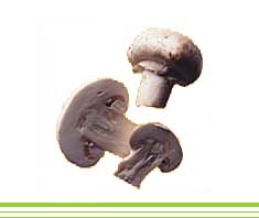 Champignons gefüllt | Rezept