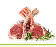 Richtig Grillen – Grilltipps