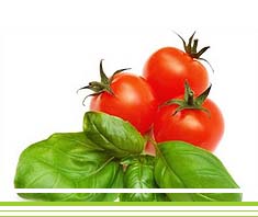 Bruschetta mit Tomaten | Rezept