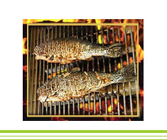 Gegrillte Kräuter-Forellen | Rezept