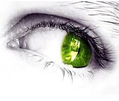 Die Pille danach | Gesundheit, Lust & Liebe