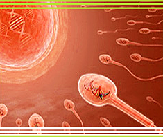 Die Spermaallergie
