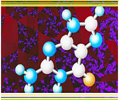 Baustoff der Gesundheit: Magnesium
