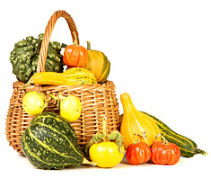 Antioxidantien – Kampf den freien Radikalen