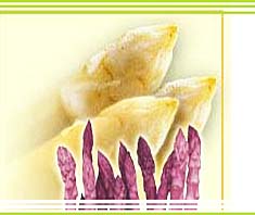 Spargel: lecker, leicht und gesund