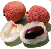 Litschi