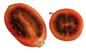 Tamarillo