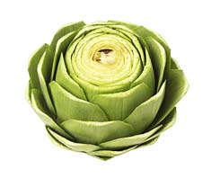 Artischocke: Delikatesse und Heilmittel