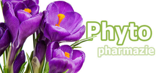 Phytopharmazie: von der Heilkraft der Pflanzen
