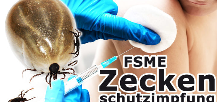 FSME: Zeckenschutzimpfung hilft!