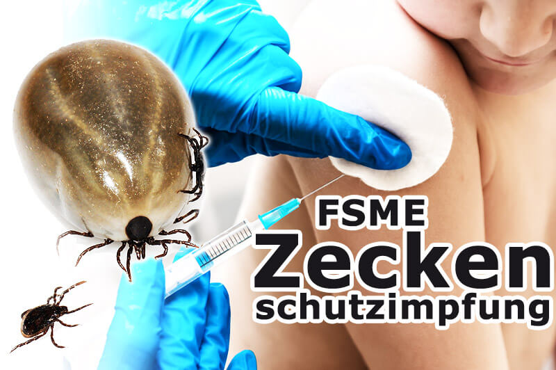 FSME: Zeckenschutzimpfung hilft!