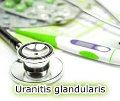 Uranitis glandularis