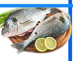 gesunder Fisch?
