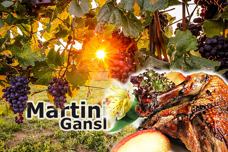 Martinigans mit Maronifüllung | Rezept
