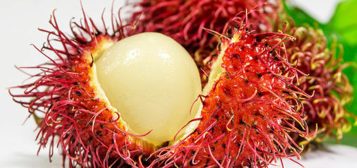 Rambutan: exotische Früchte im Überblick