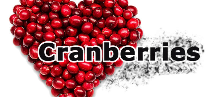 Cranberries – bioaktive Substanzen schützen vor Krankheiten