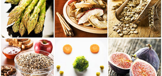 Fünf Elemente Ernährung als Basis für gute Gesundheit