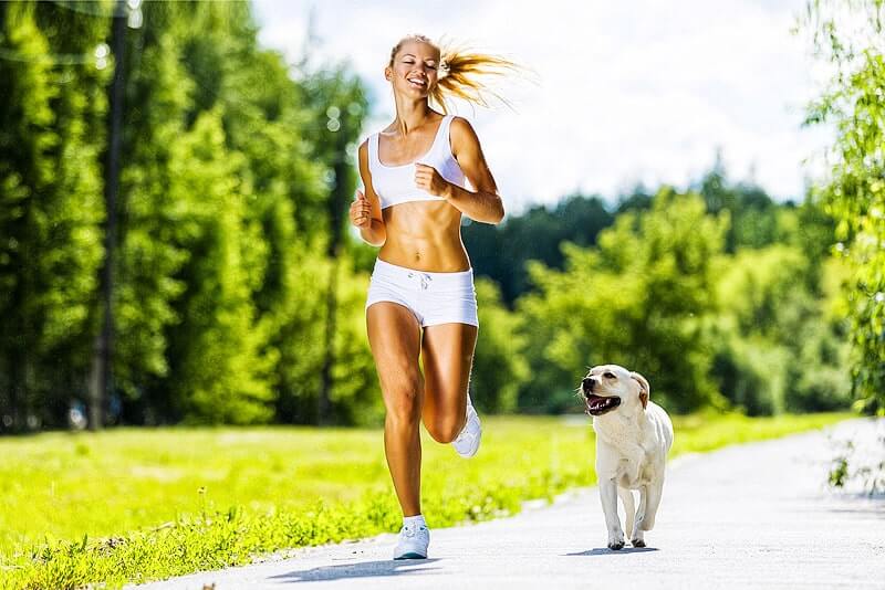 Sport mit dem Hund: Wie werde ich gemeinsam mit meinem Hund fit?