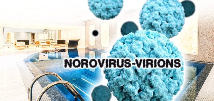 Bakterien & Viren im Swimmingpool