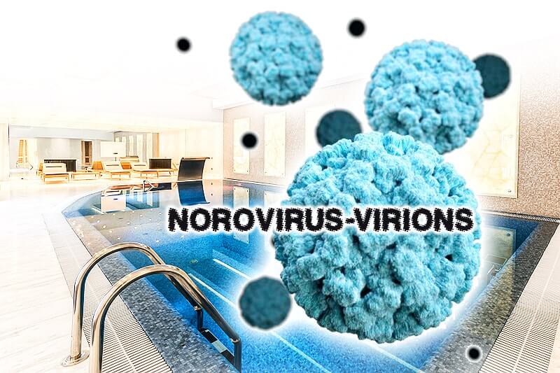 Bakterien & Viren im Swimmingpool