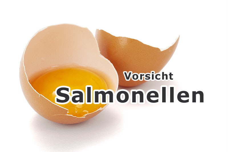 Salmonellen-Infektion (Salmonellose)