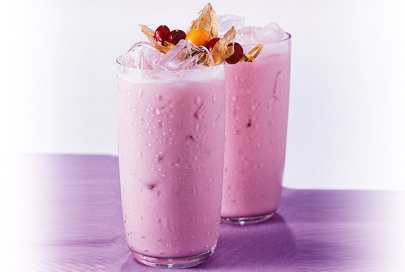 Cranberry Milkshake | Rezept