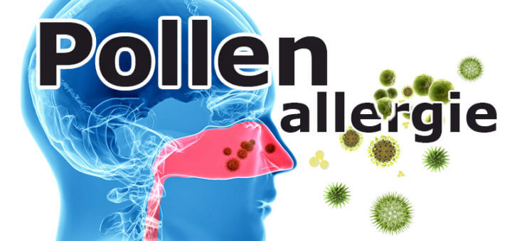 Pollenallergie – was ist das eigentlich?
