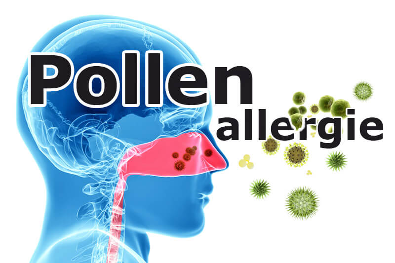 Pollenallergie – was ist das eigentlich?