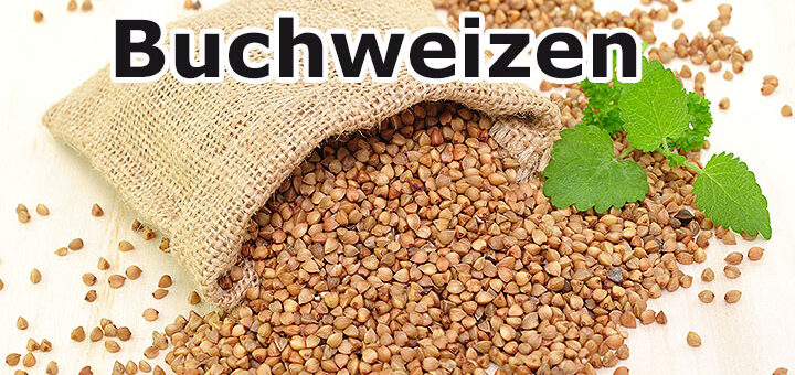 Buchweizen - altes Korn neu entdeckt