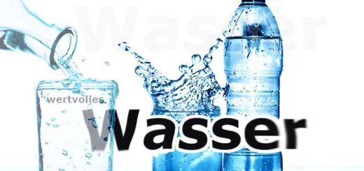Wasser – Quelle und Grundlage des Lebens