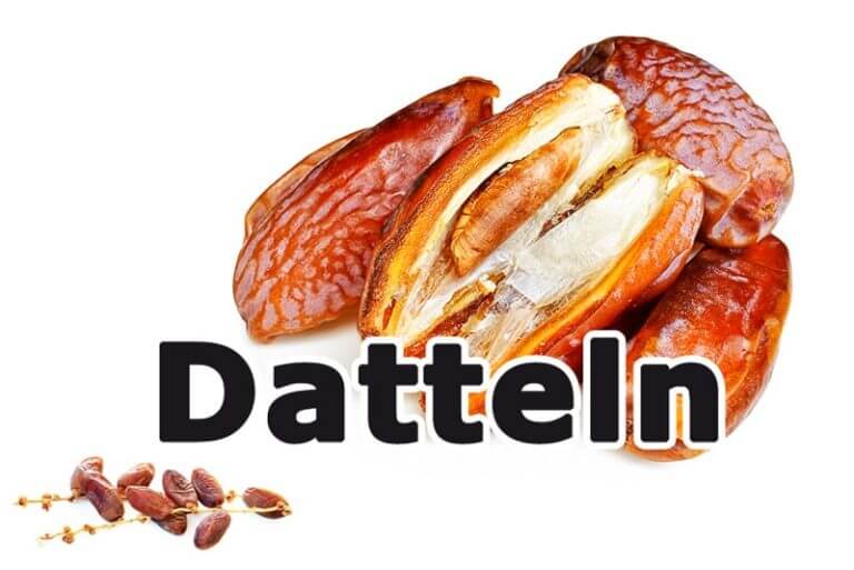 Datteln die Wüstenfrucht des Lichts » gesund.co.at