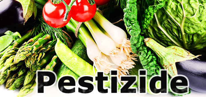Pestizide, Fungizide & Co. - Giftcocktail im Gemüse