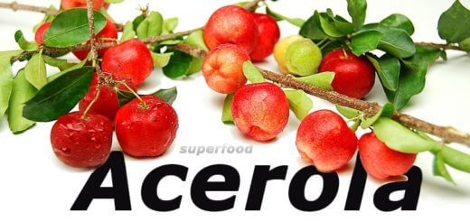 Superfood Acerola - Vitamin C Wunder aus Übersee