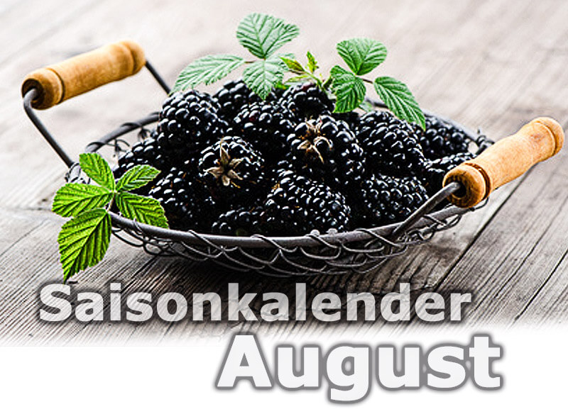 Saisonkalender Obst & Gemüse | August
