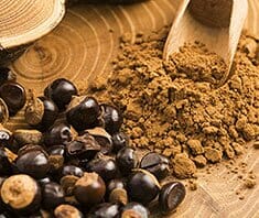 Superfood Guarana - die stärkste natürliche Koffeinquelle der Welt
