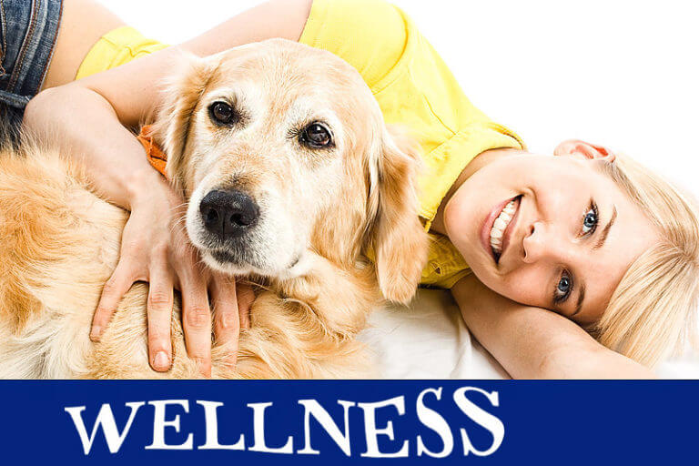 Wellnessurlaub mit Hund › gesund.co.at