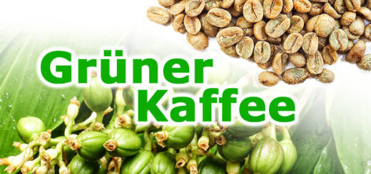 Grüner Kaffee: Geschmack & Wirkung ungerösteter Kaffeebohnen