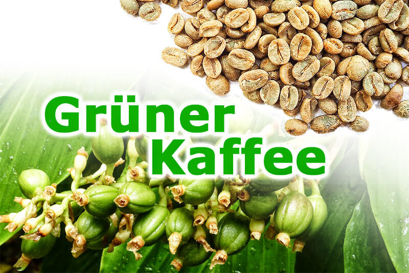 Grüner Kaffee: Geschmack & Wirkung ungerösteter Kaffeebohnen