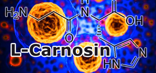 Wofür wird das Nahrungsergänzungsmittel L-Carnosin eingesetzt?