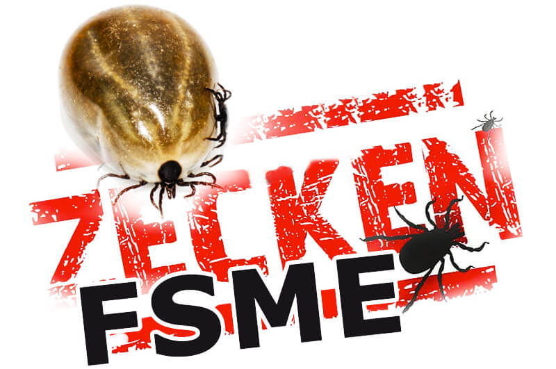 FSME | Krankheitslexikon