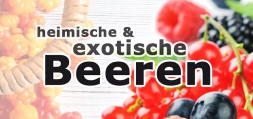 Heimische vs. exotische Beeren - Superfood im Vergleich
