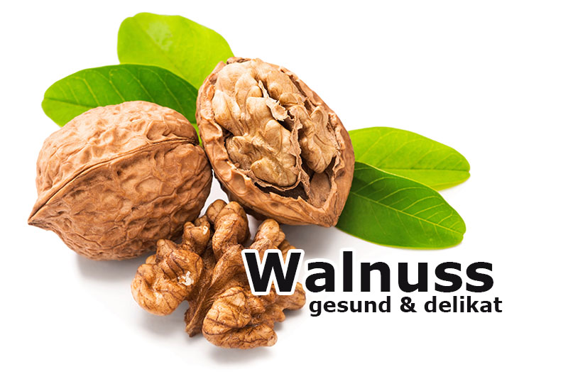 Walnuss - gesunde Gehirnnahrung, delikater Genuss