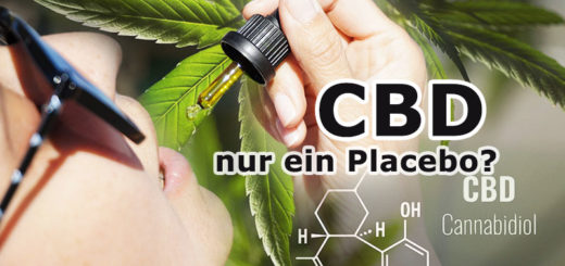 CBD - mehr als nur ein Placebo?
