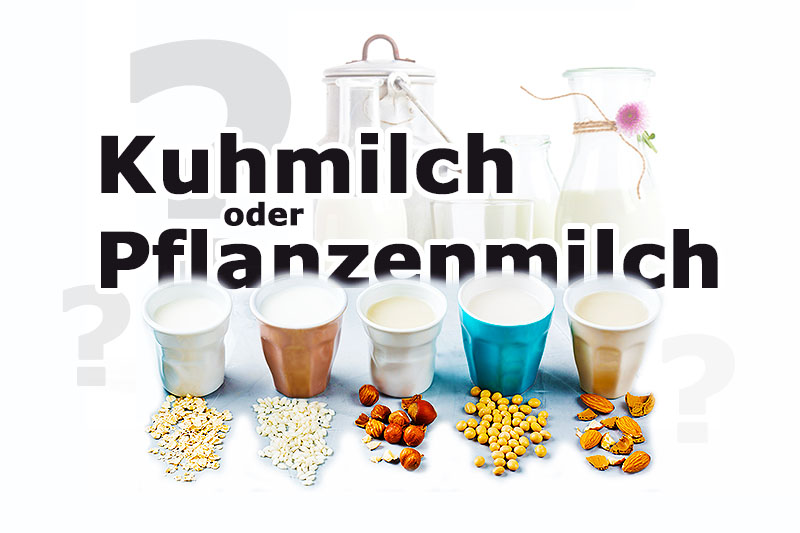 Kuhmilch oder Pflanzenmilch: Wie gut sind Milchersatzprodukte?